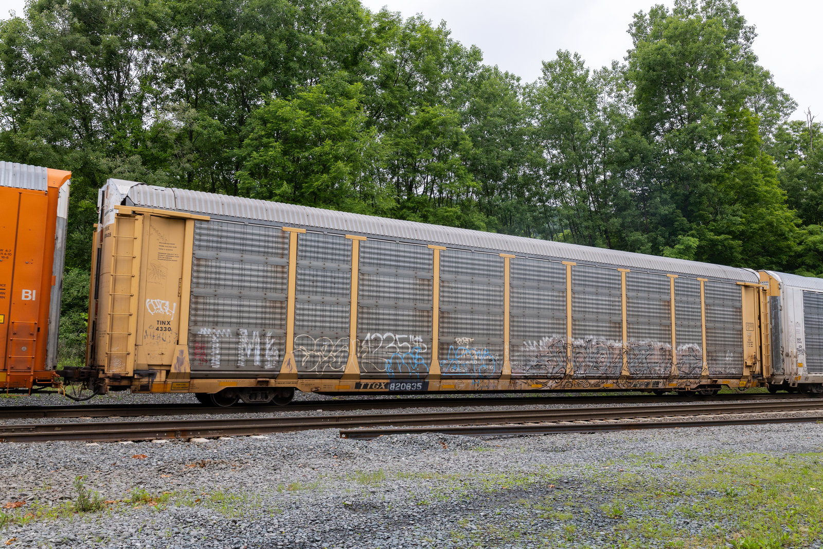 TTGX 820635