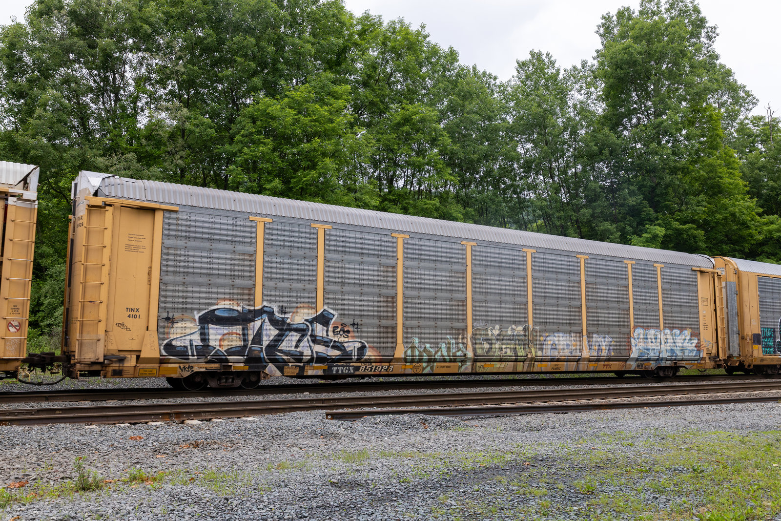 TTGX 851928