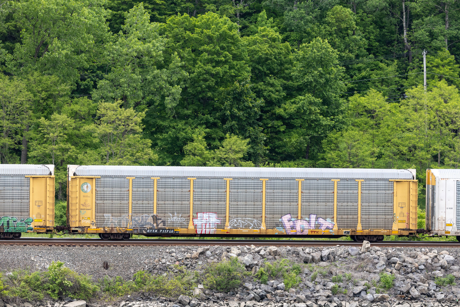 ETTX 711718
