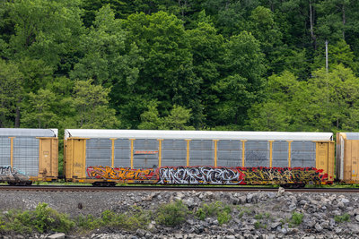 ETTX 820735