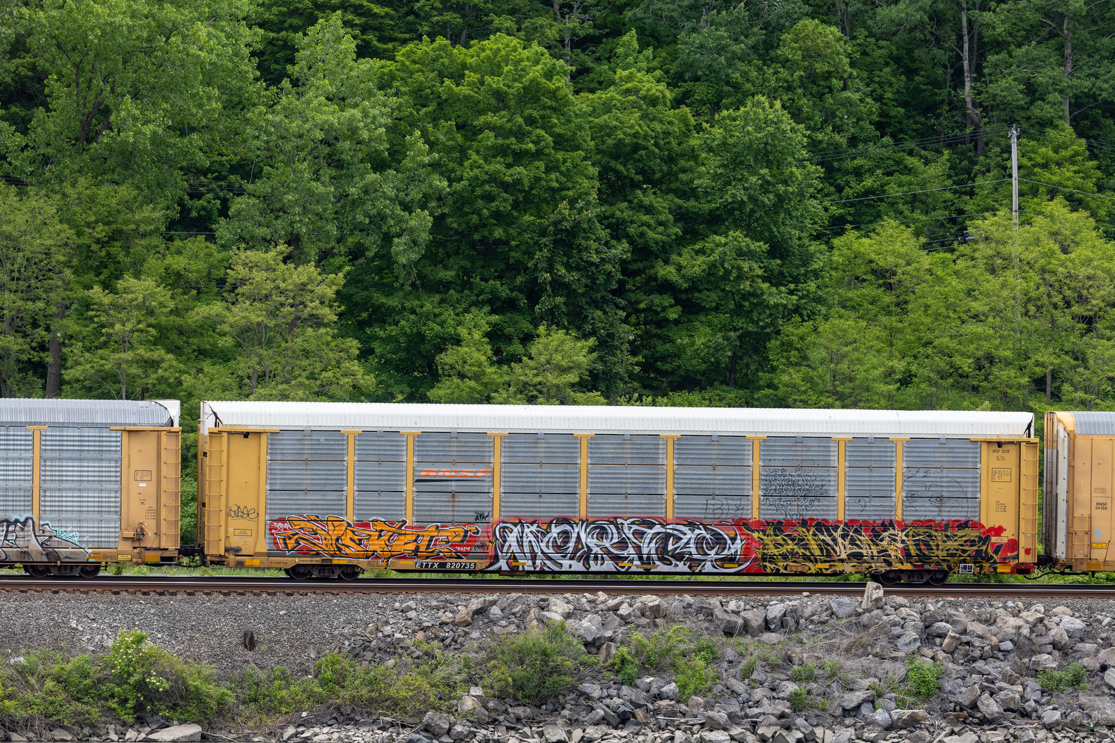 ETTX 820735