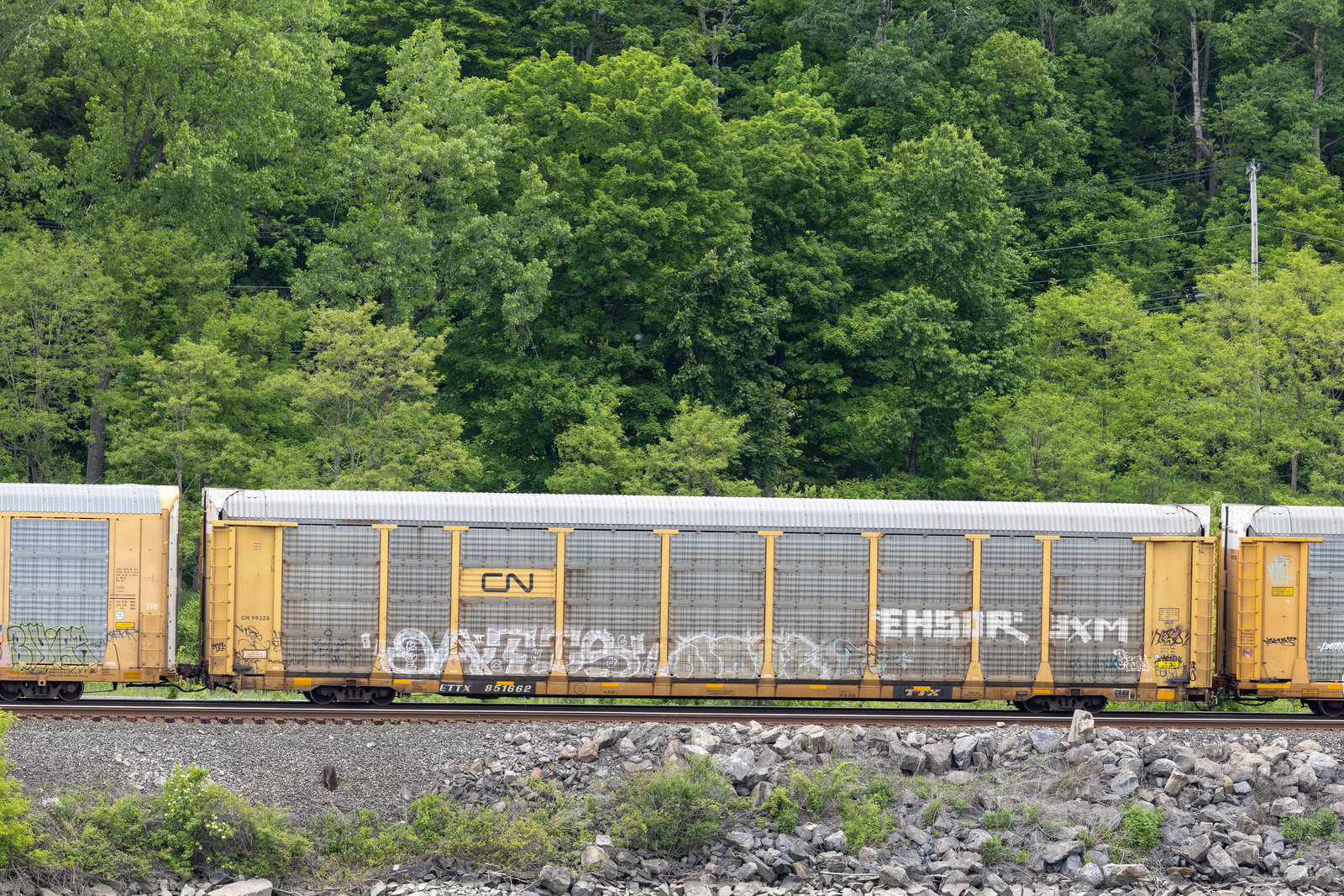 ETTX 851662