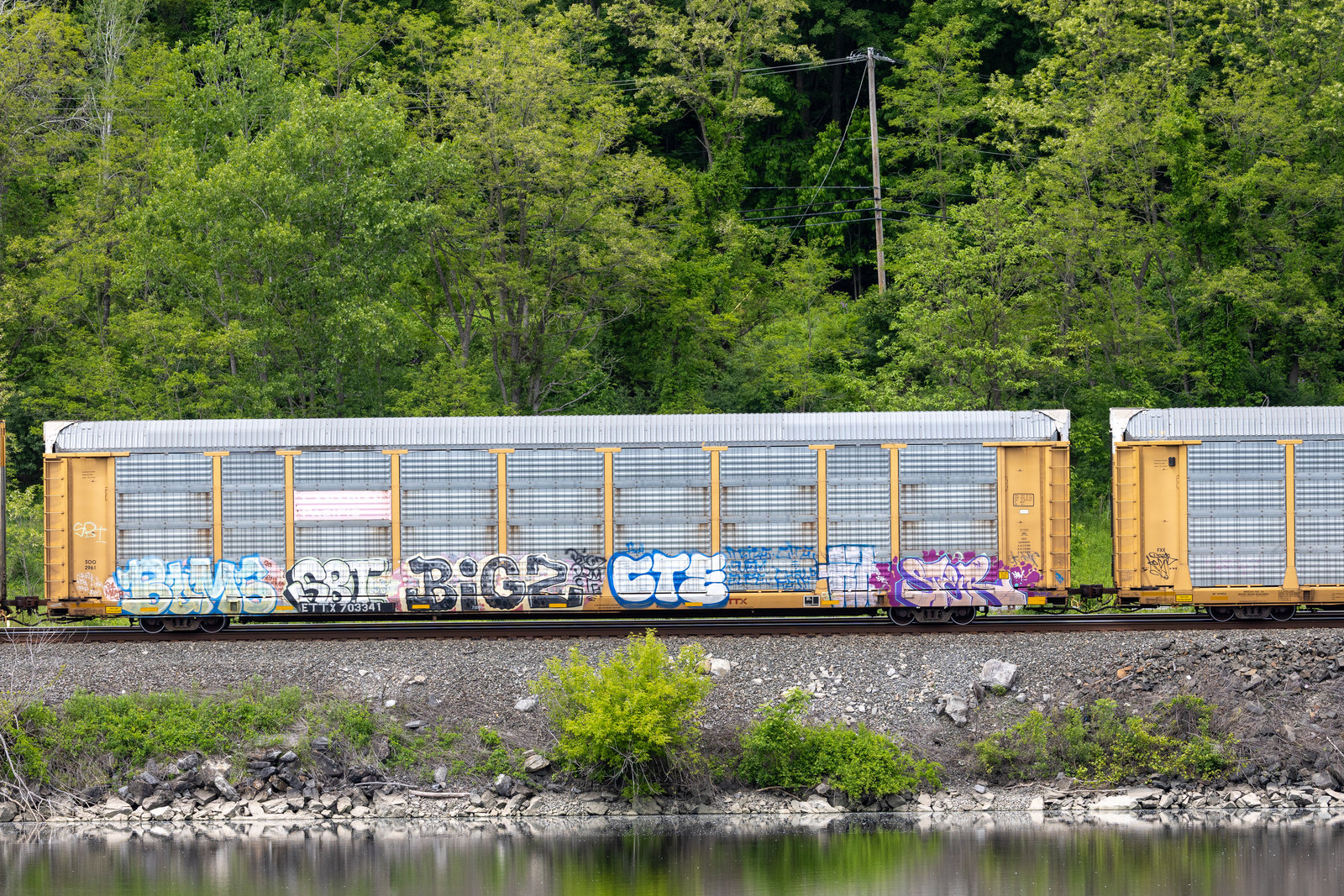ETTX 703341