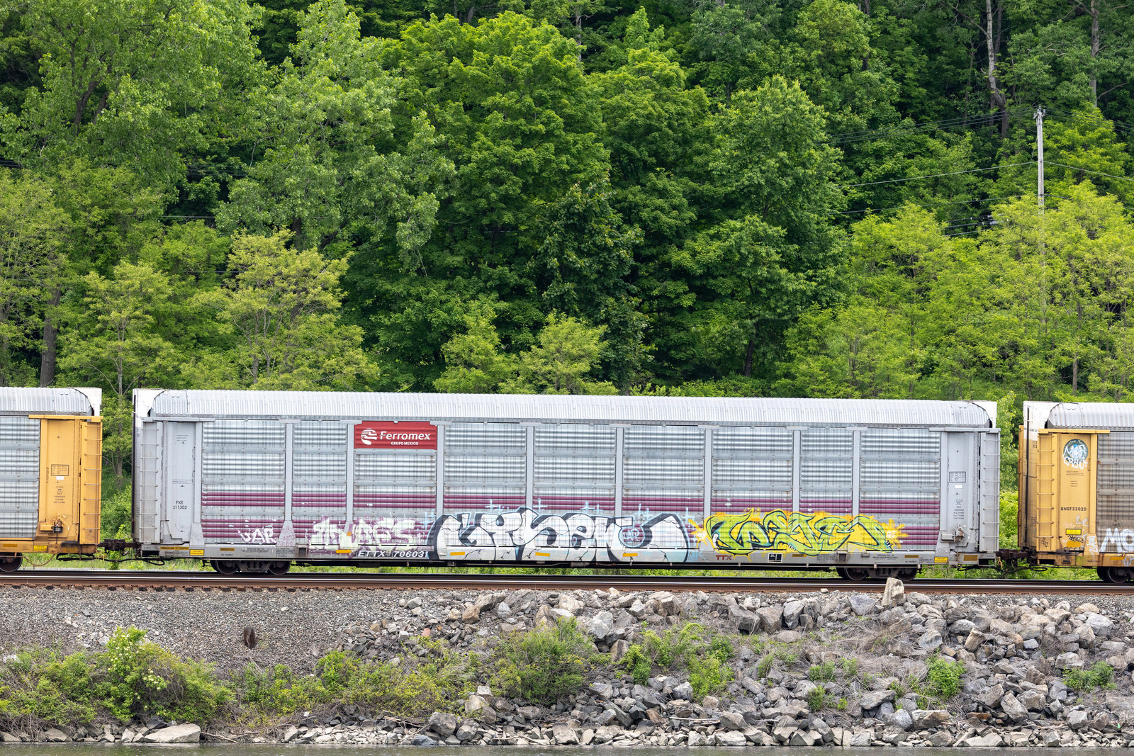 ETTX 706031