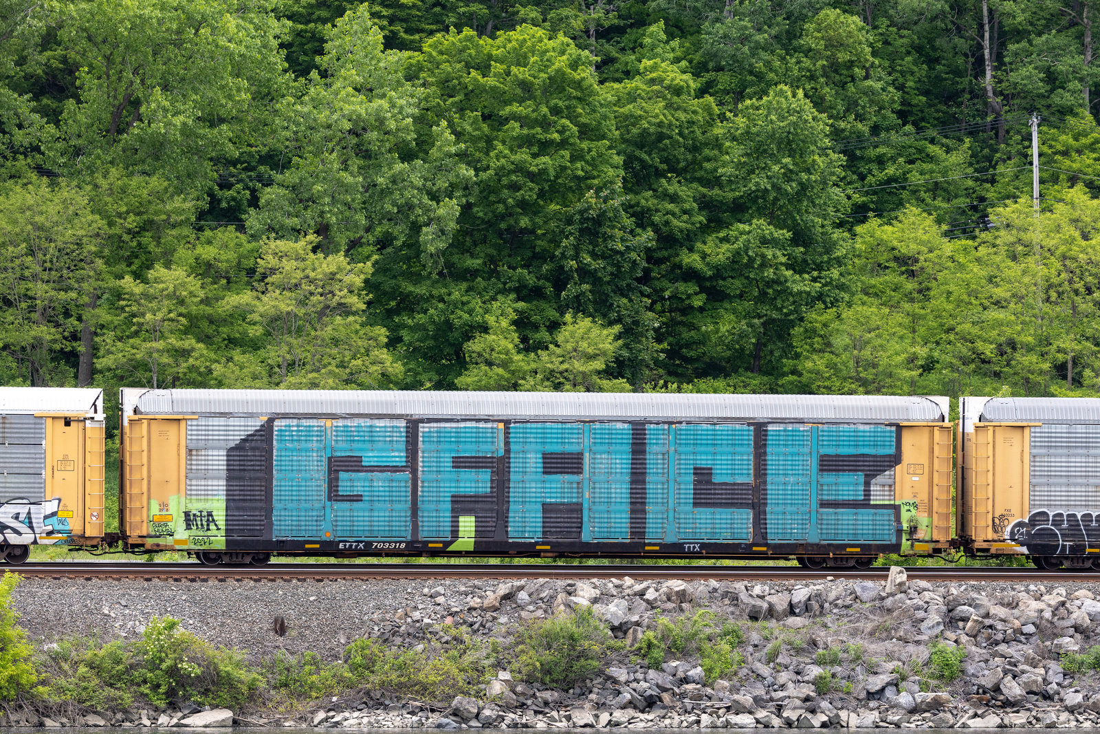 ETTX 703318