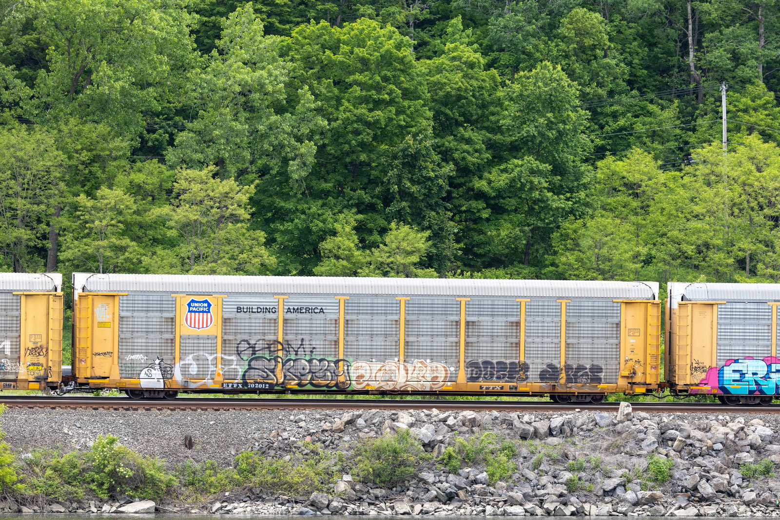 ETTX 702012