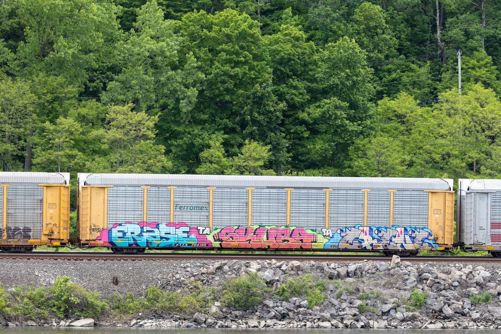 ETTX 704165