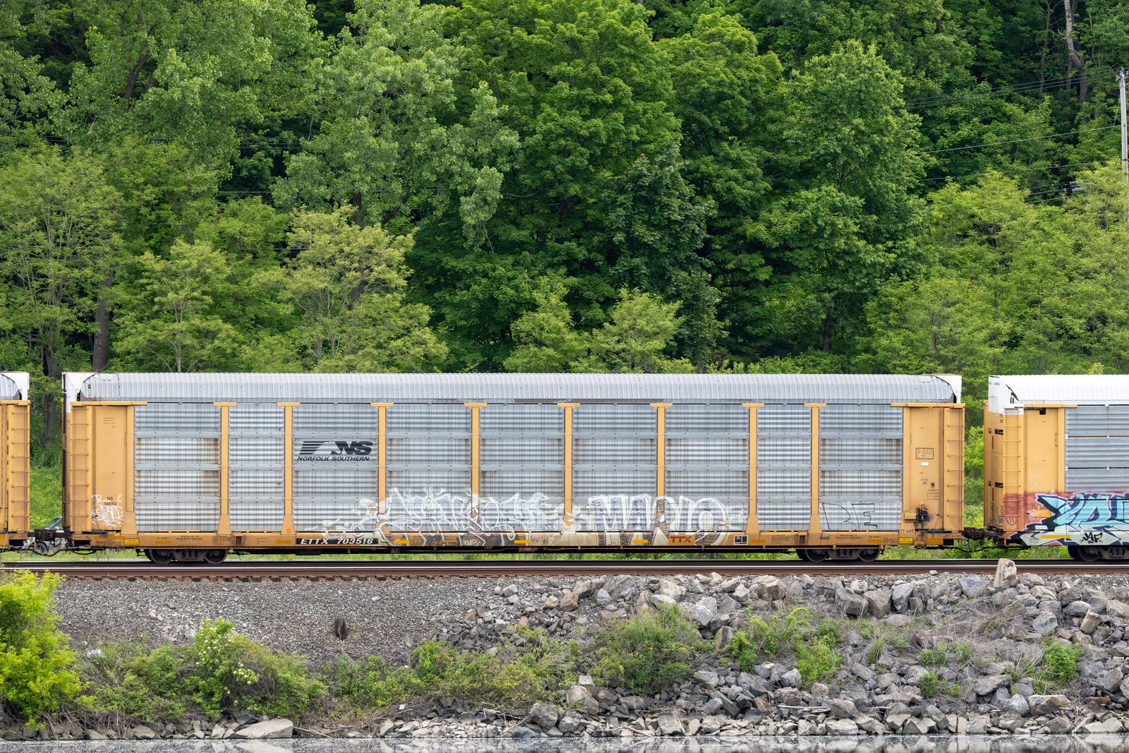 ETTX 703516
