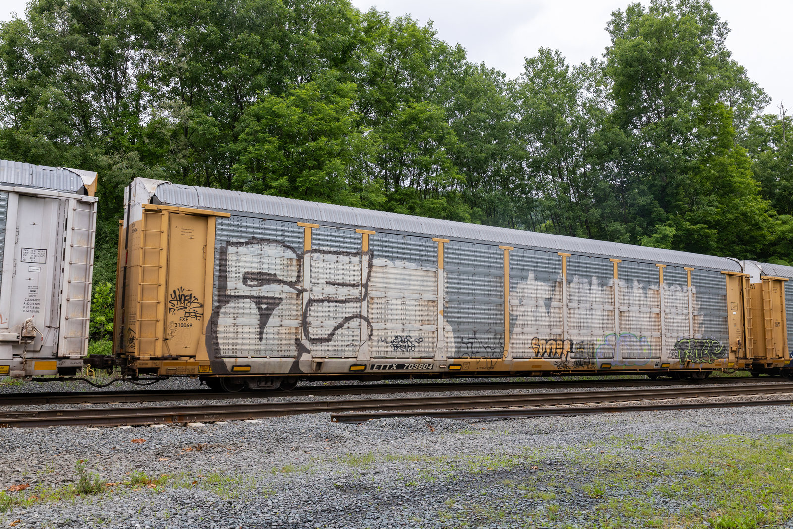 ETTX 703604