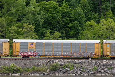 ETTX 851991