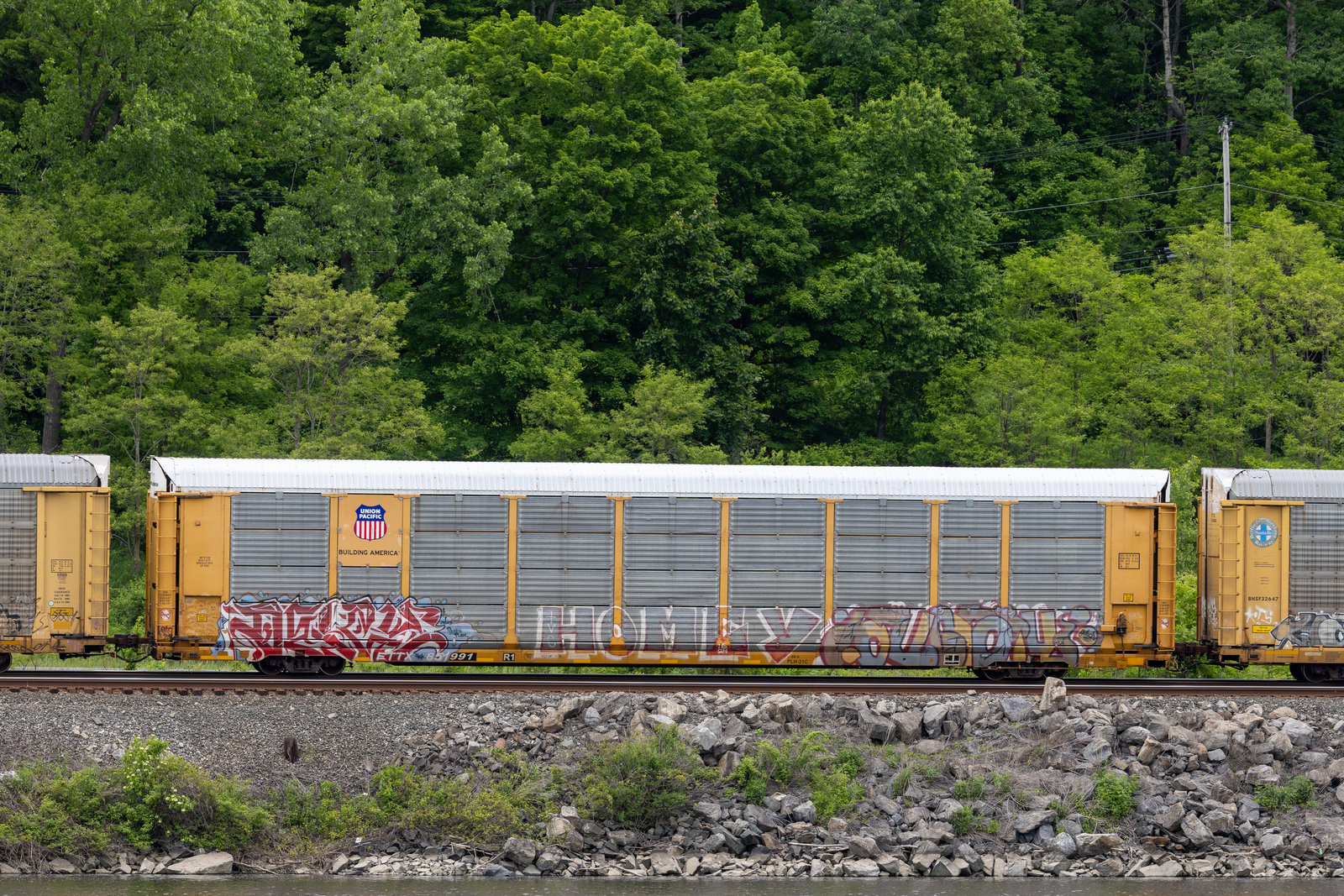 ETTX 851991