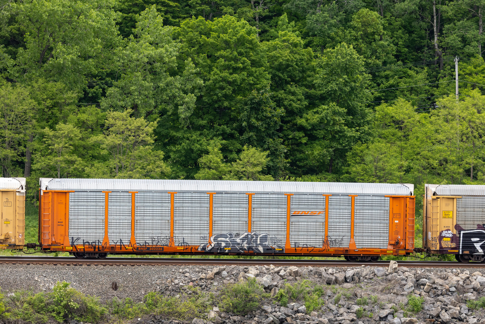 BNSF 302236