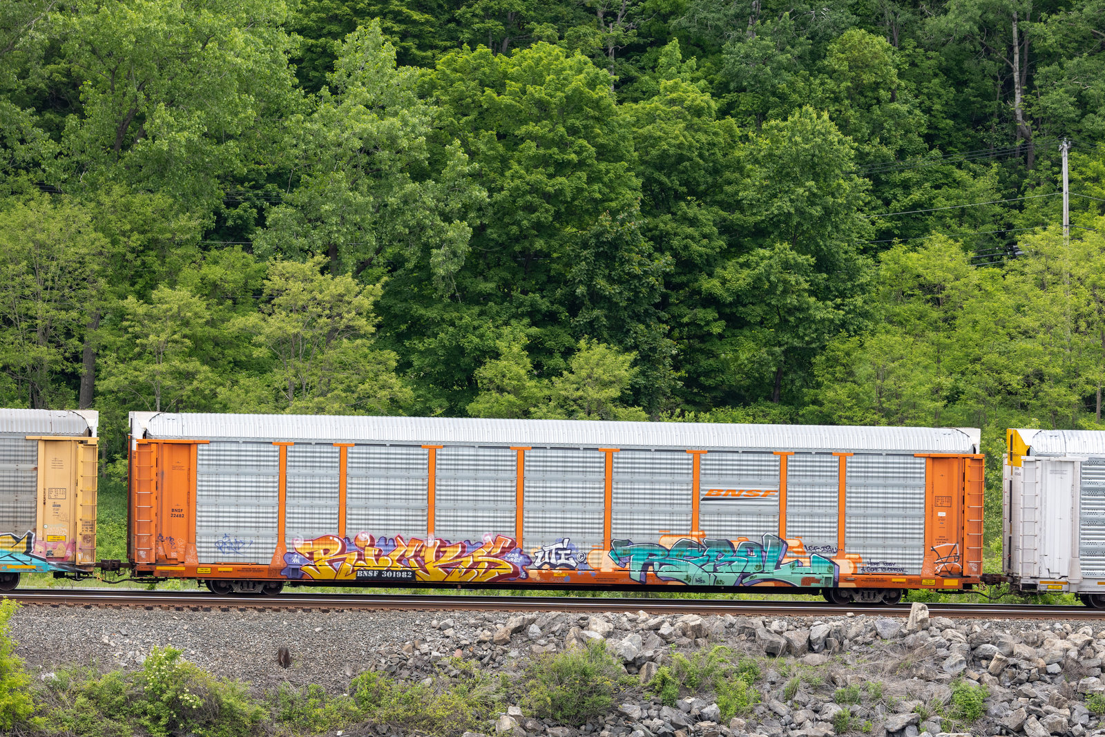 BNSF 301982