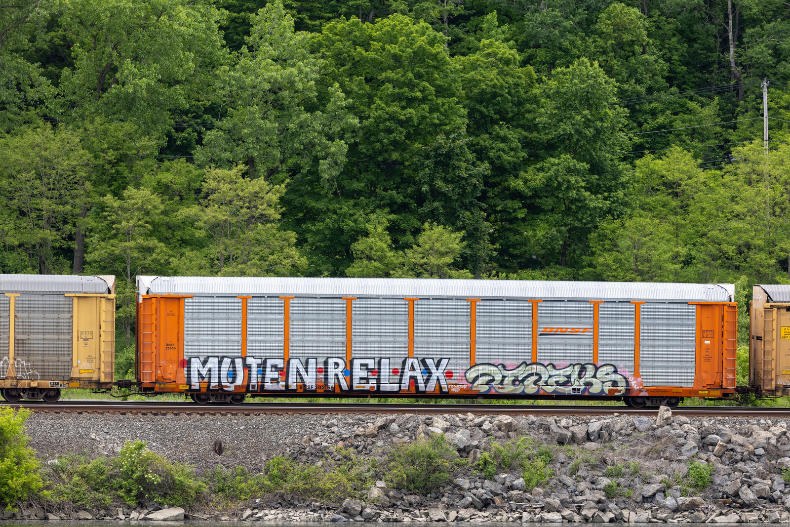 BNSF 302156