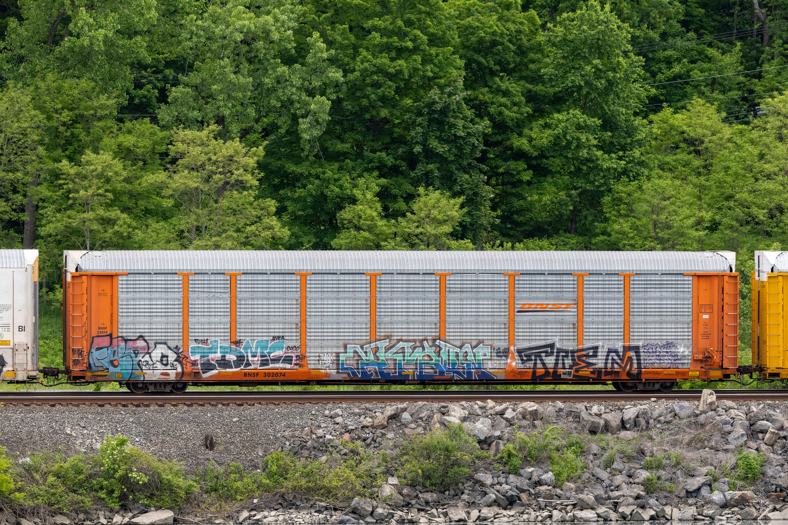 BNSF 302074