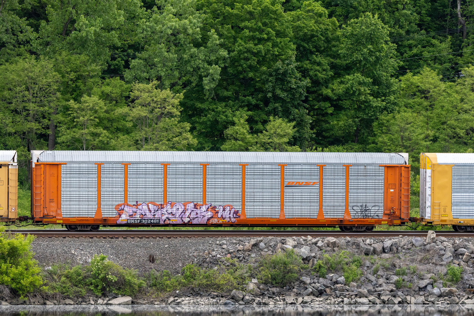 BNSF 302481