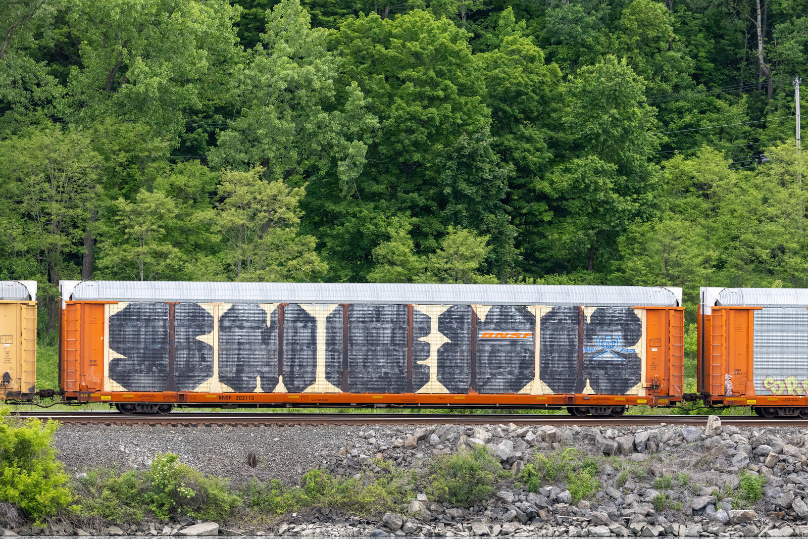 BNSF 303113