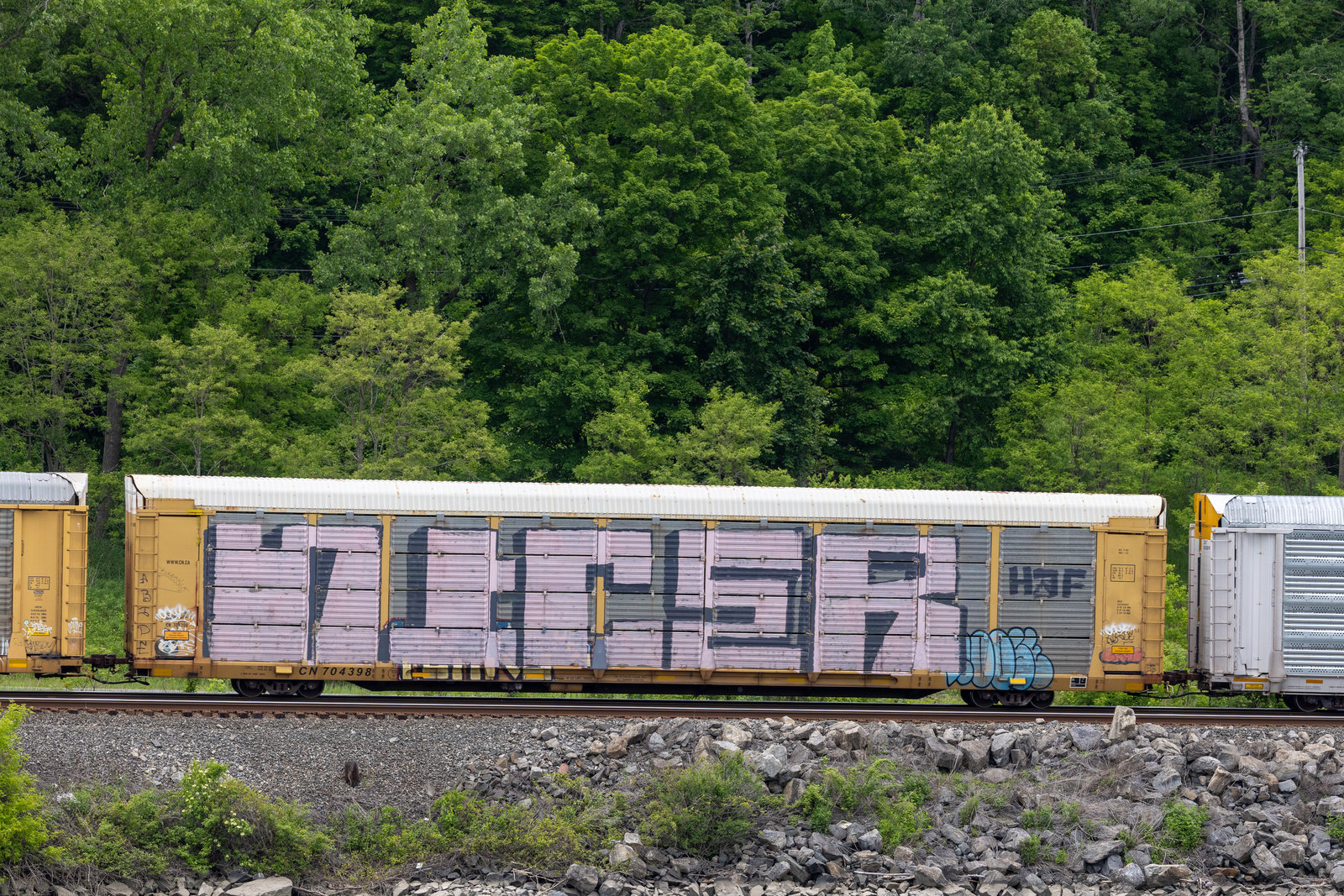 CN 704398