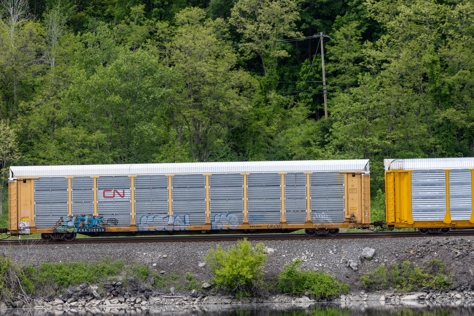 CNA 712379