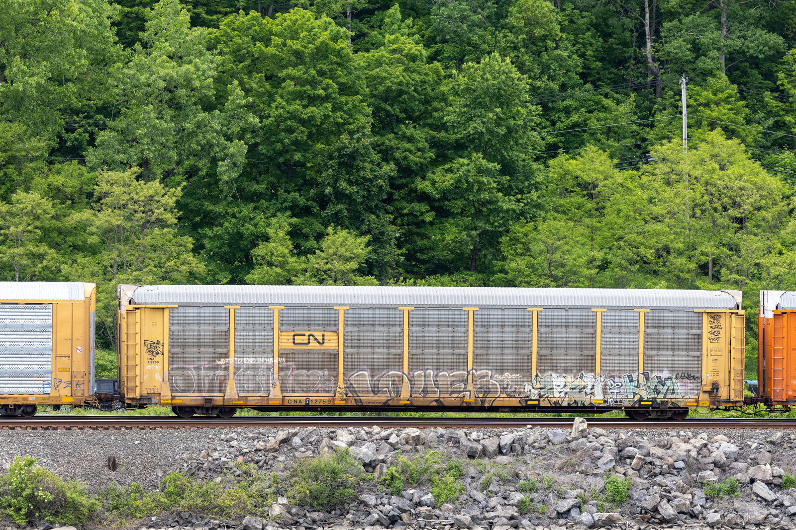 CNA 712759