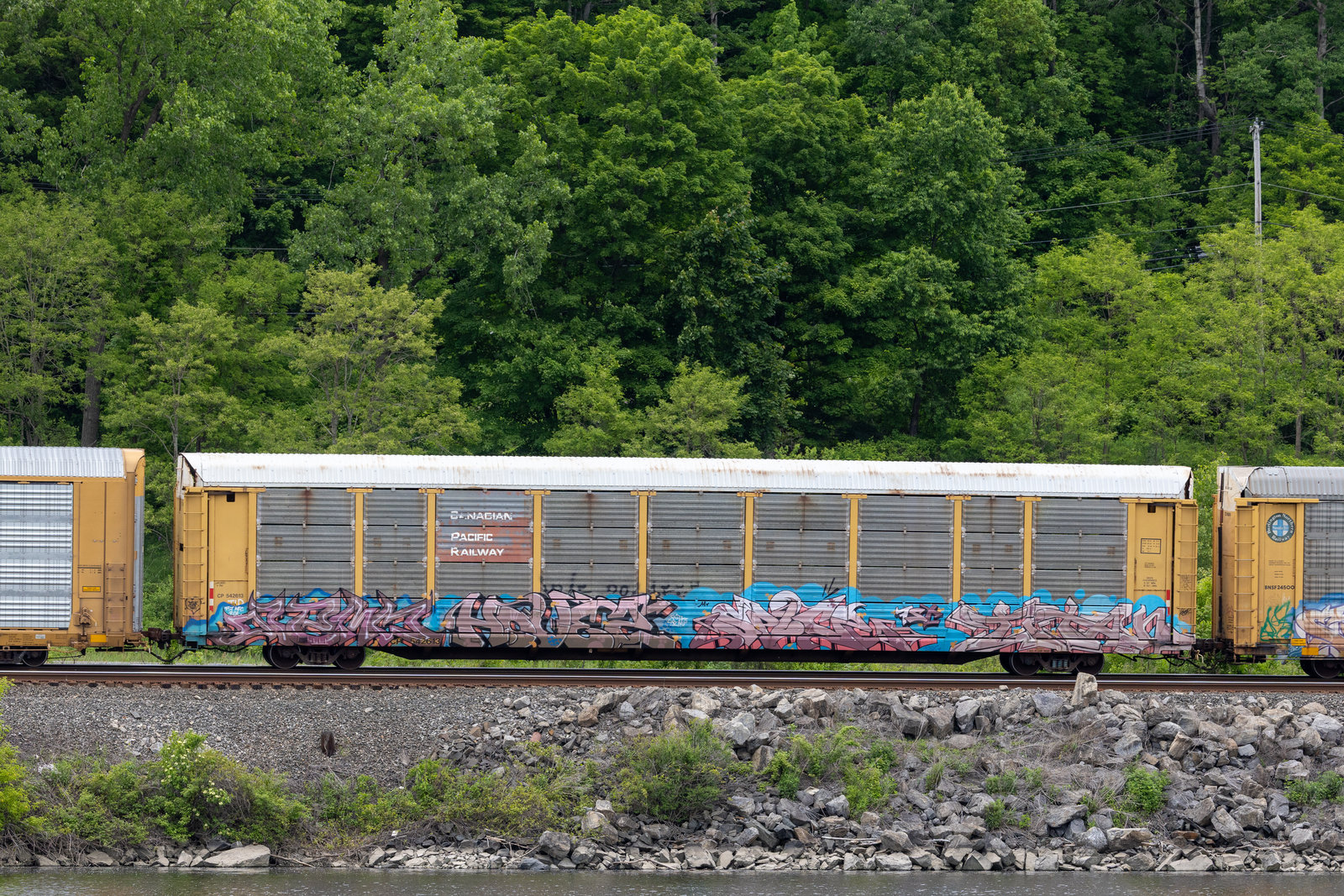 CP 542613