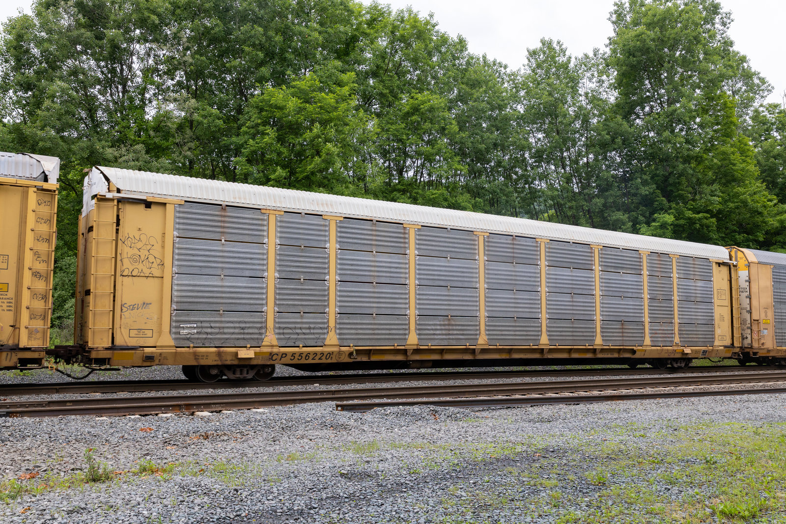 CP 556220