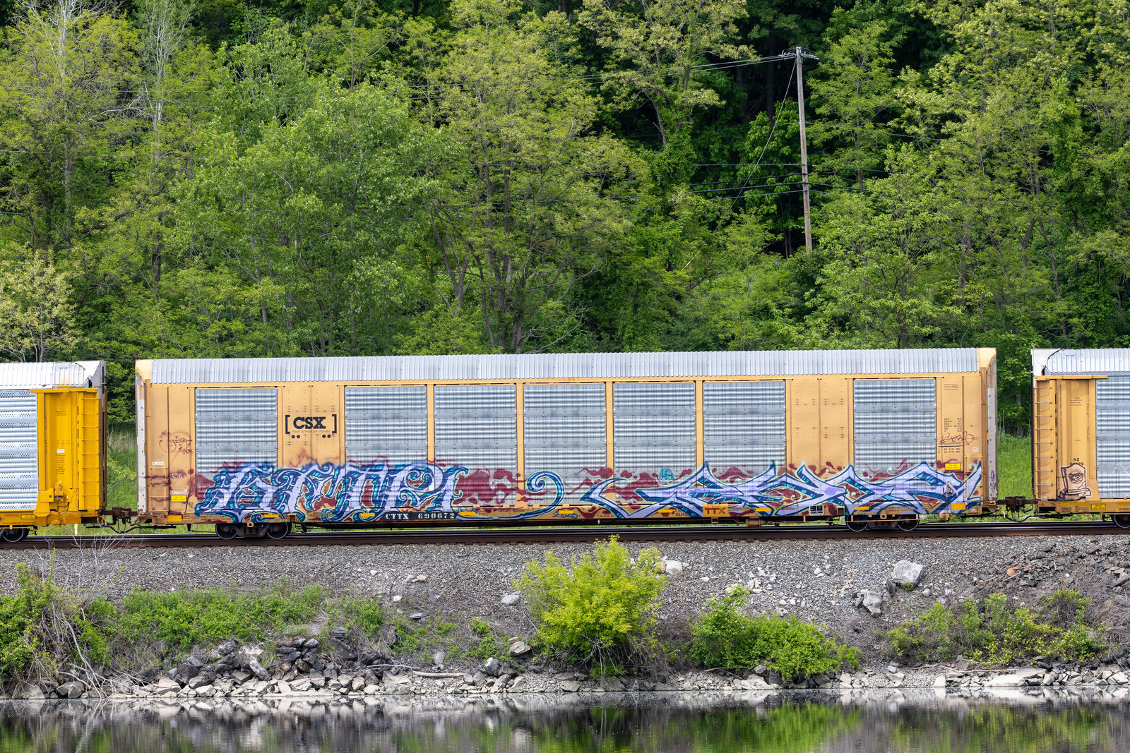 CTTX 690672