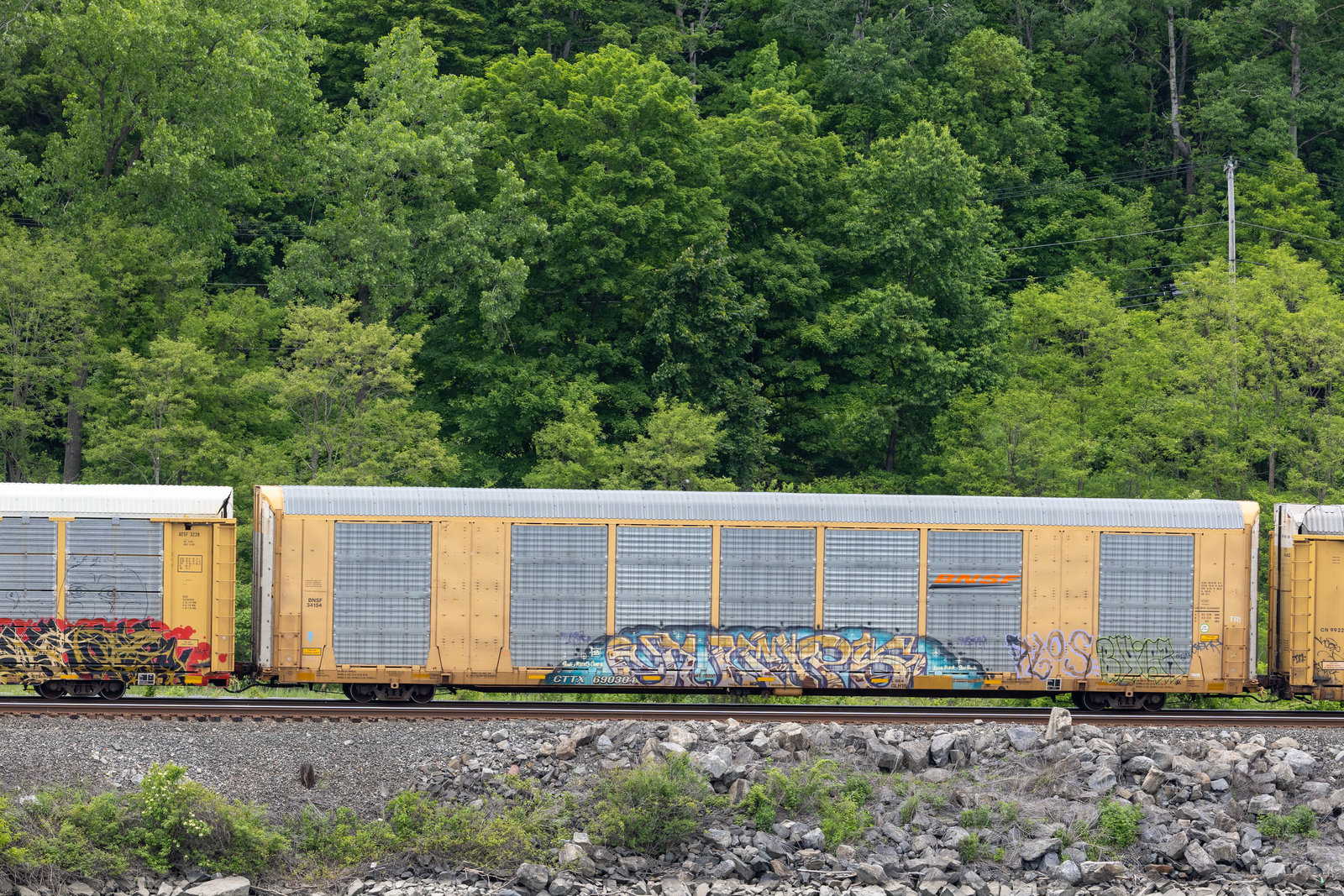 CTTX 690304