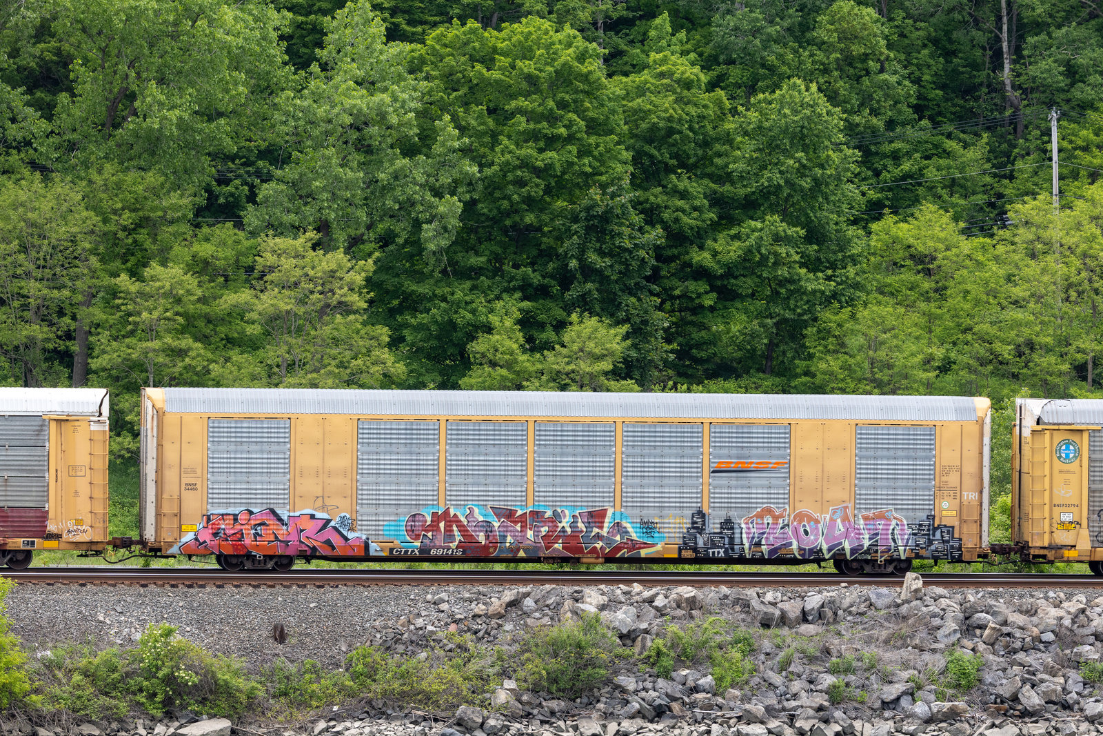 CTTX 691419