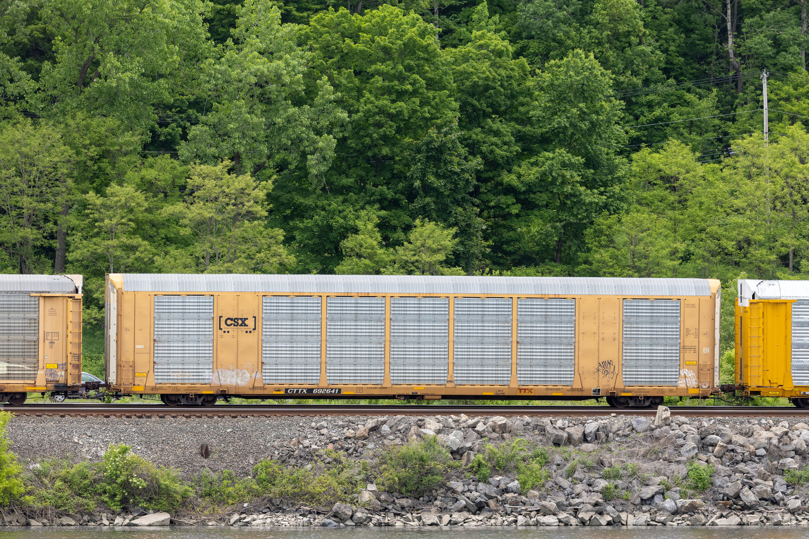 CTTX 692641