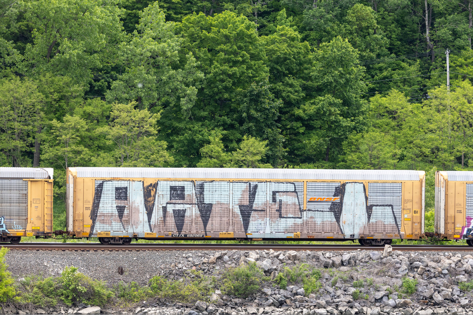 CTTX 692069