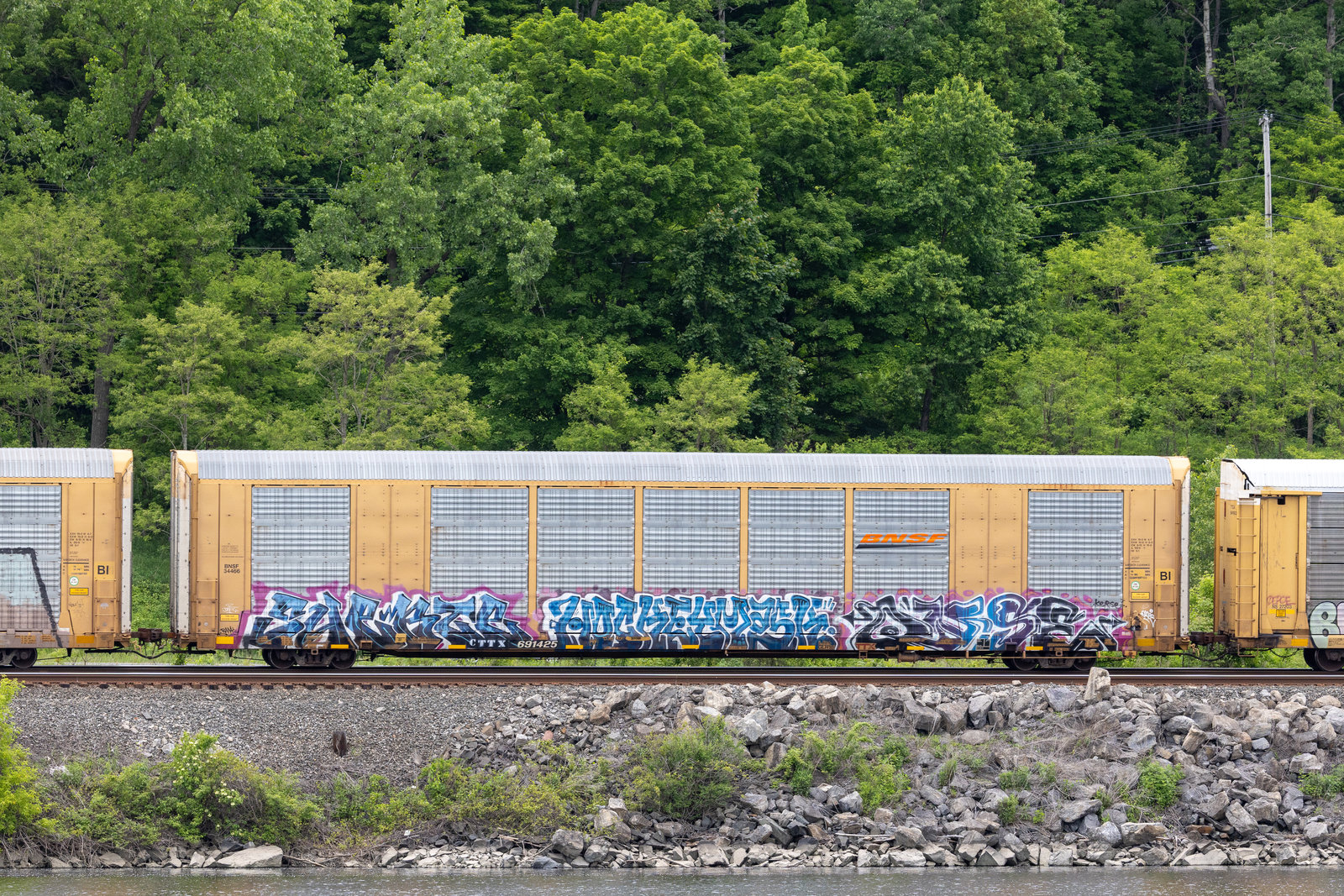 CTTX 691425
