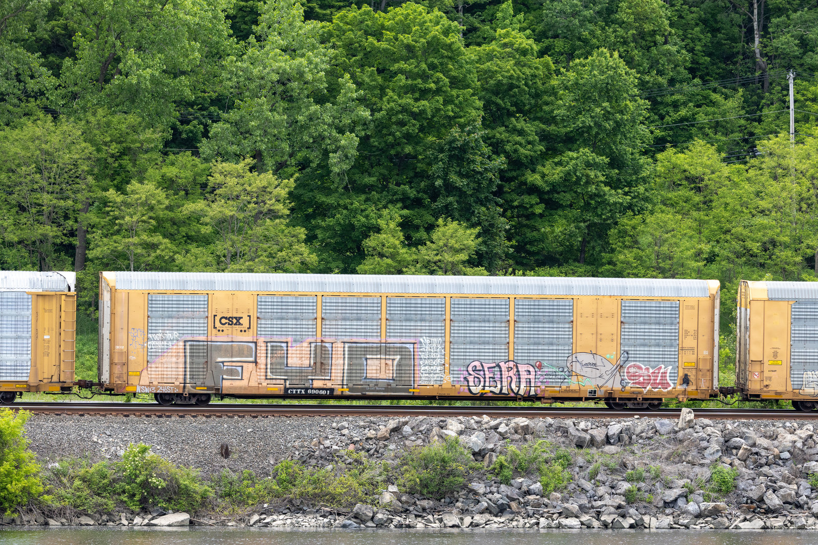 CTTX 690601