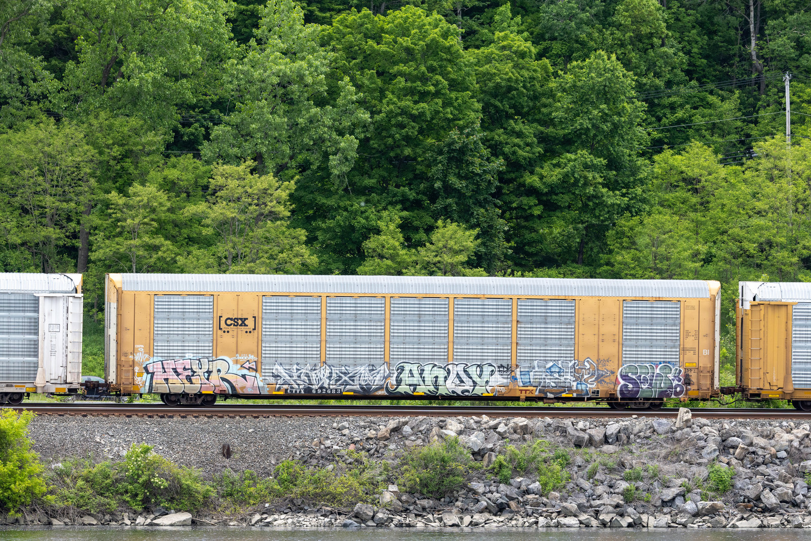 CTTX 692683