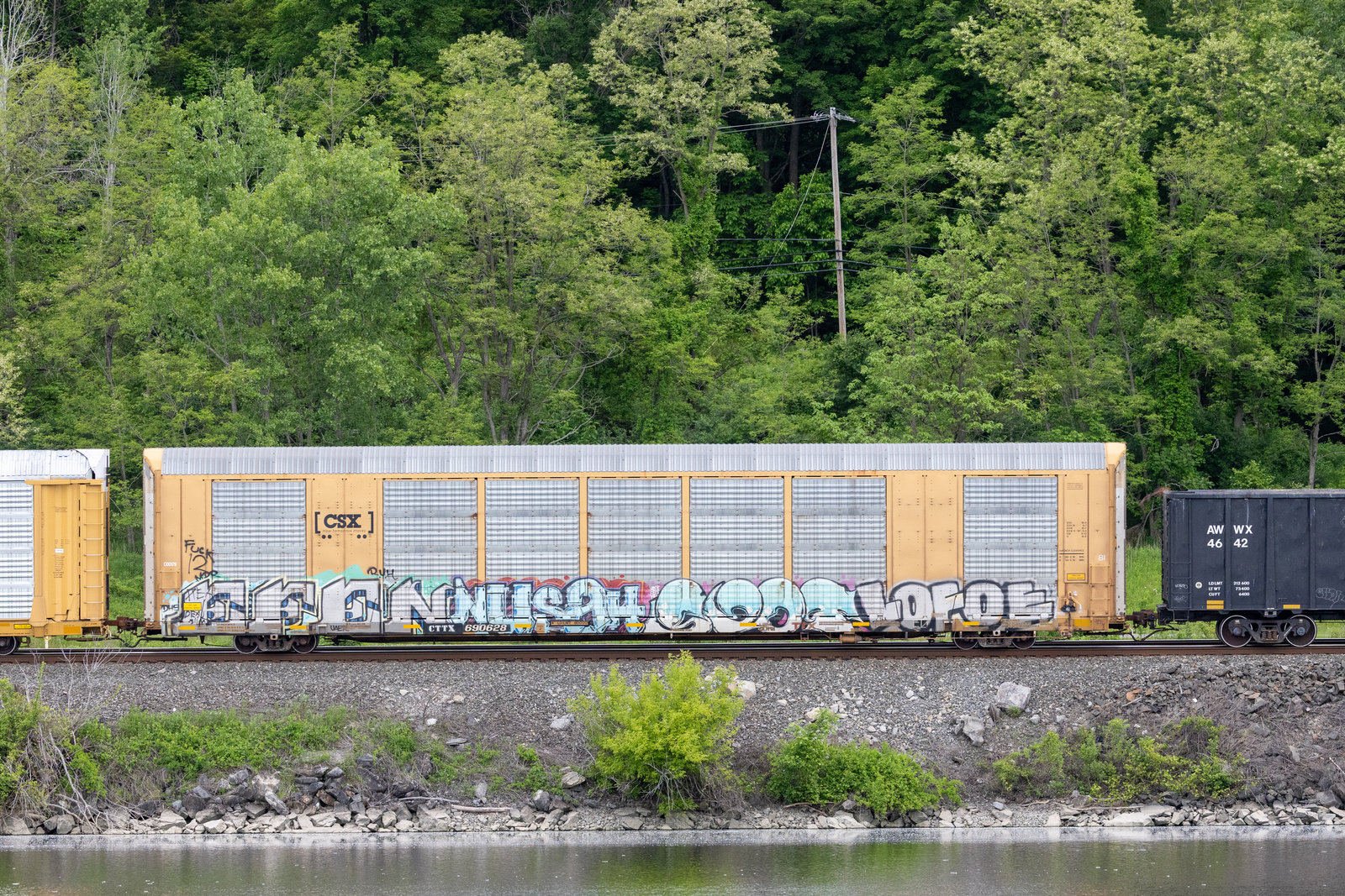 CTTX 690628