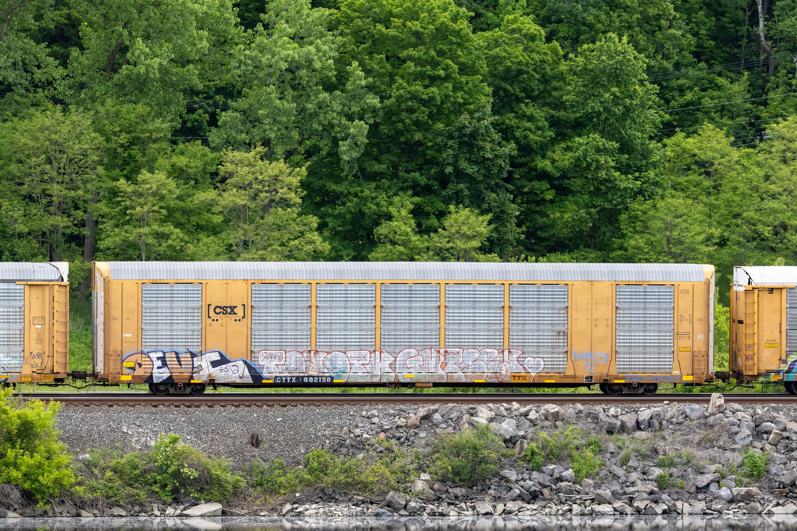 CTTX 692158