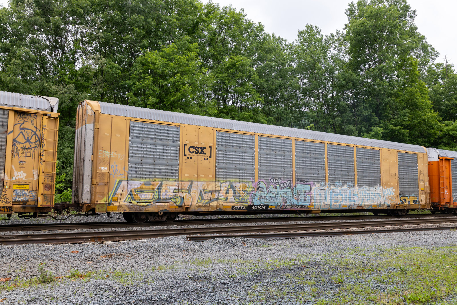 CTTX 690015