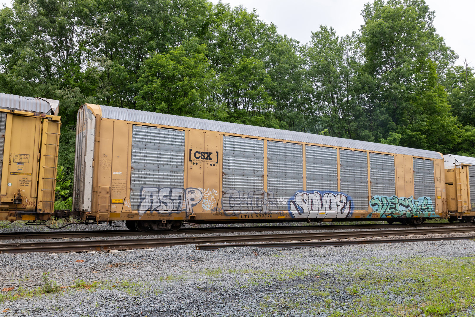CTTX 692576