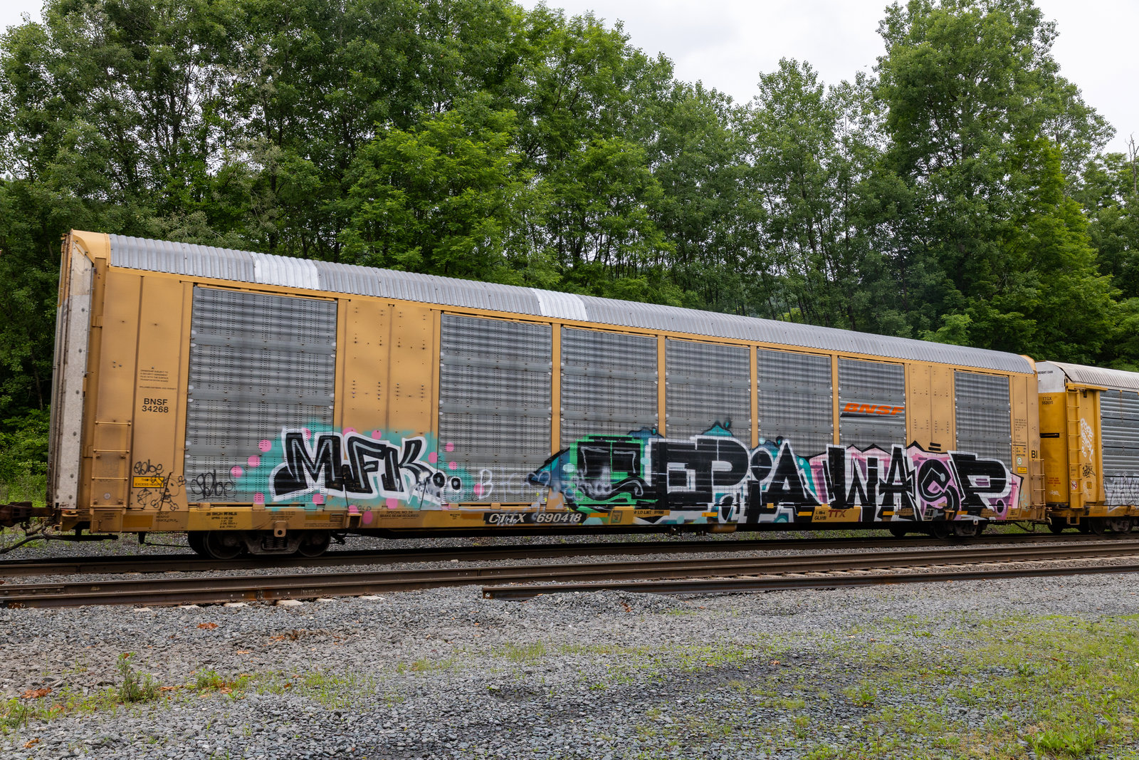 CTTX 690418