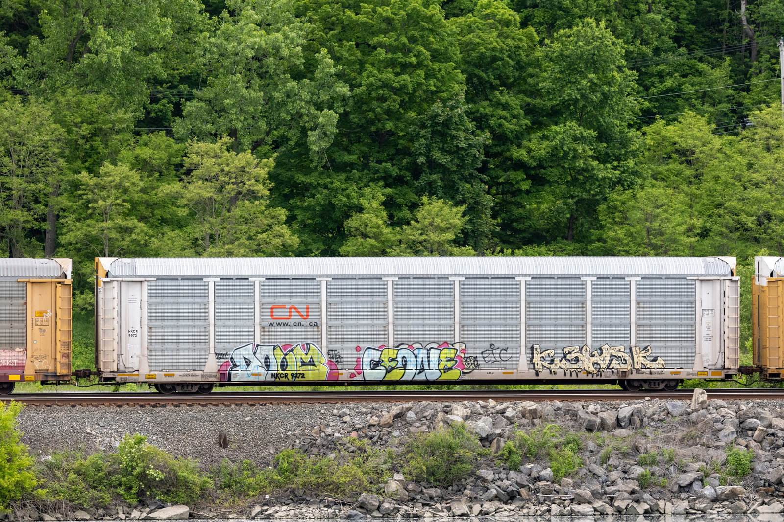 NKCR 9272