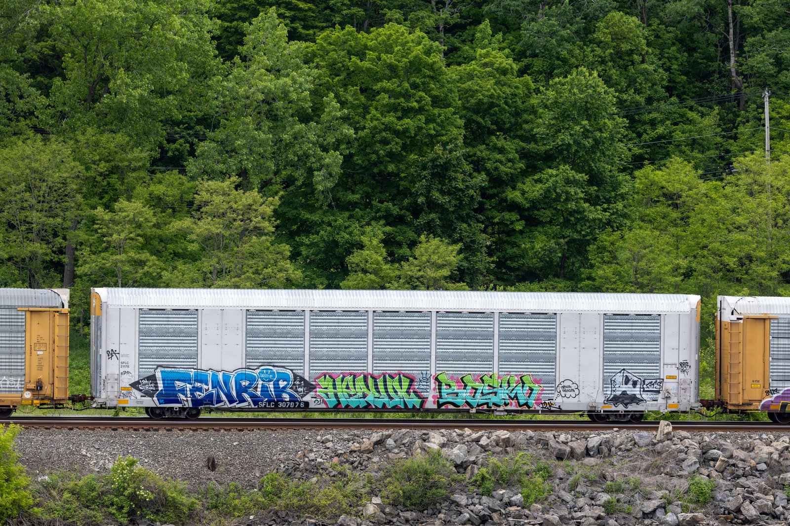 SFLC 307978
