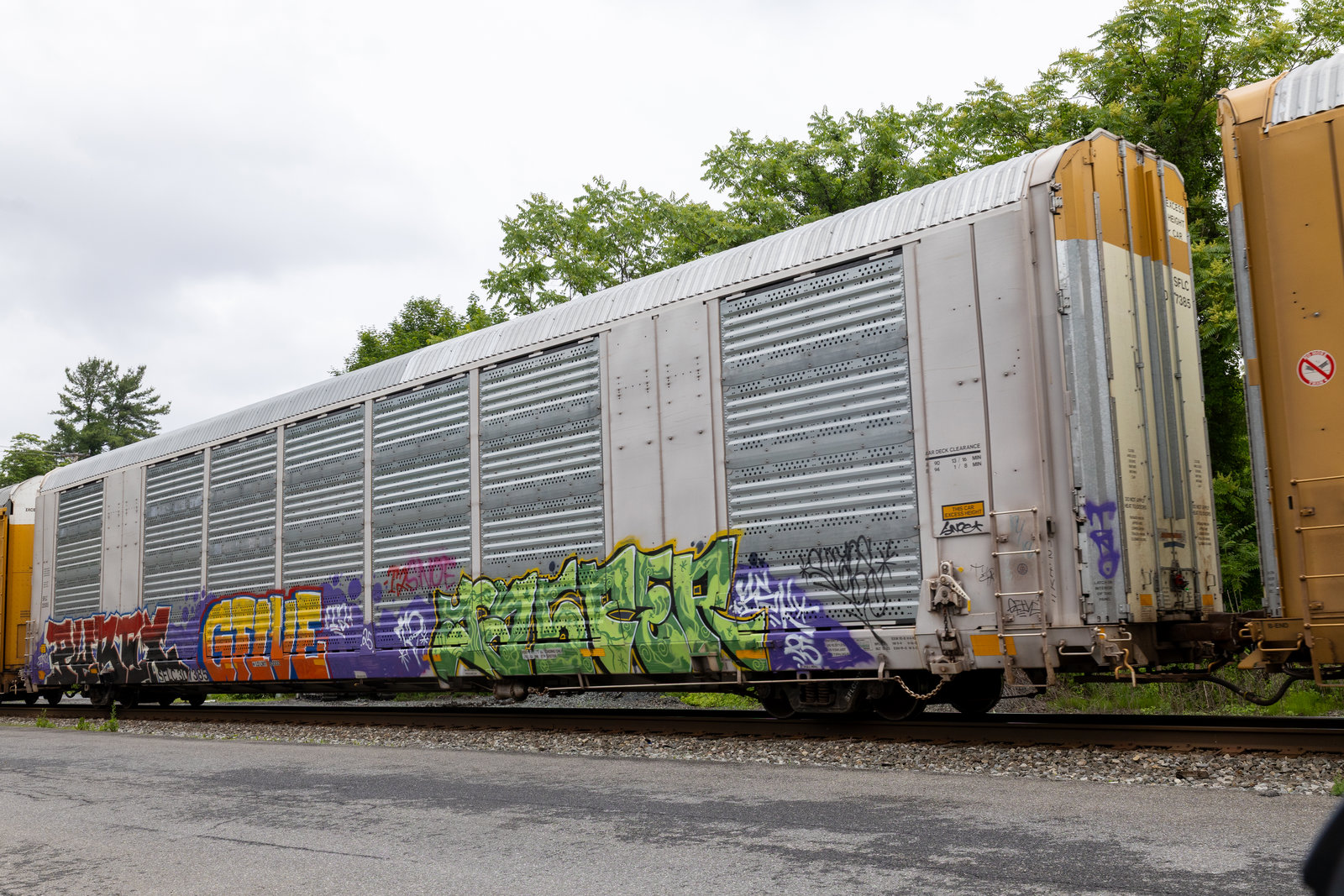 SFLC 307385