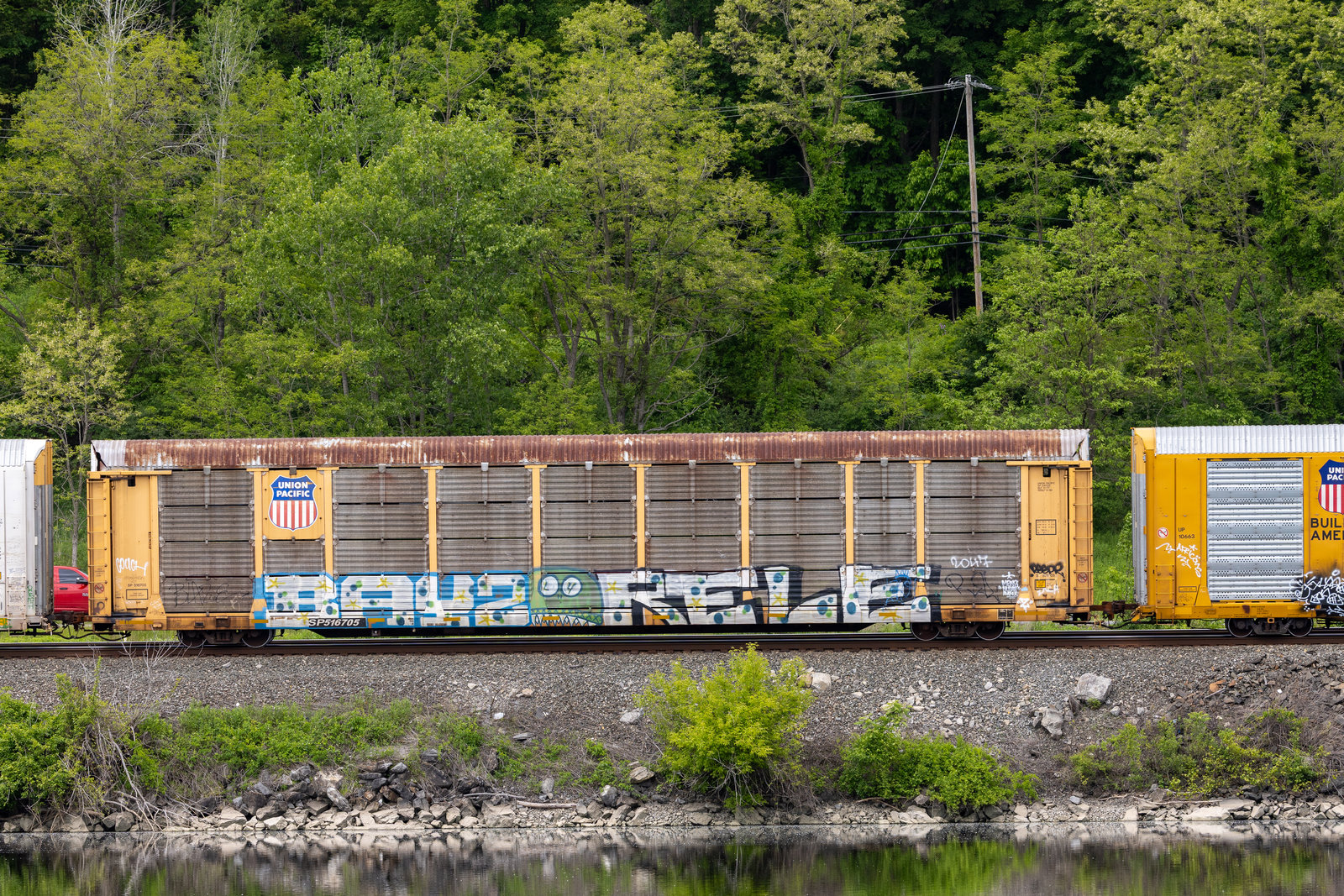 SP 516705