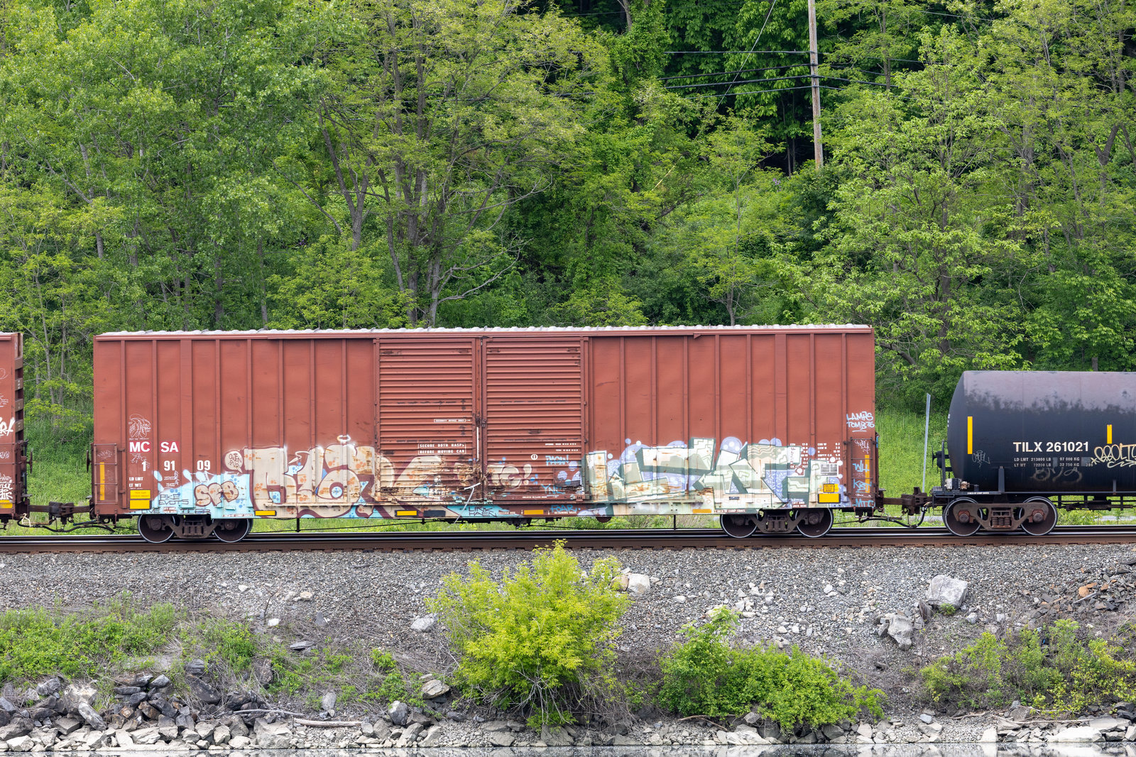 MCSA 19109