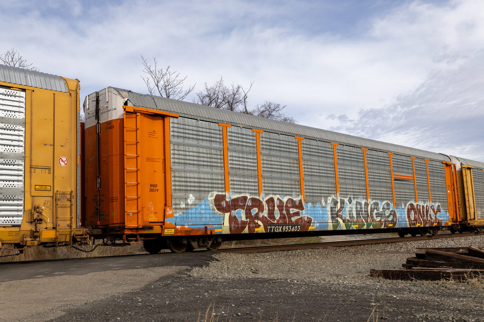 TTGX 953403