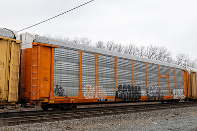 TTGX 952933