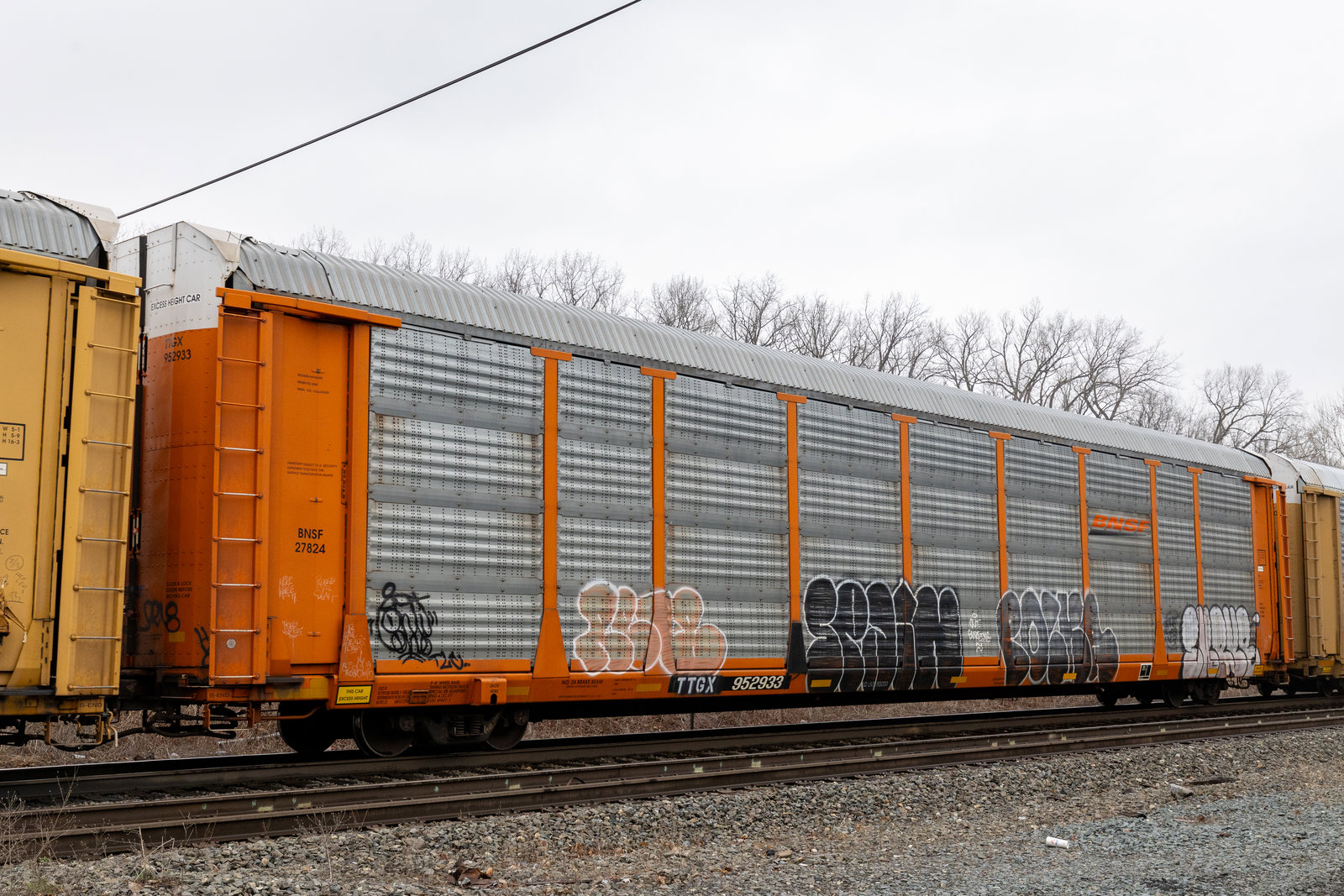 TTGX 952933