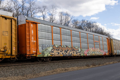 TTGX 952770