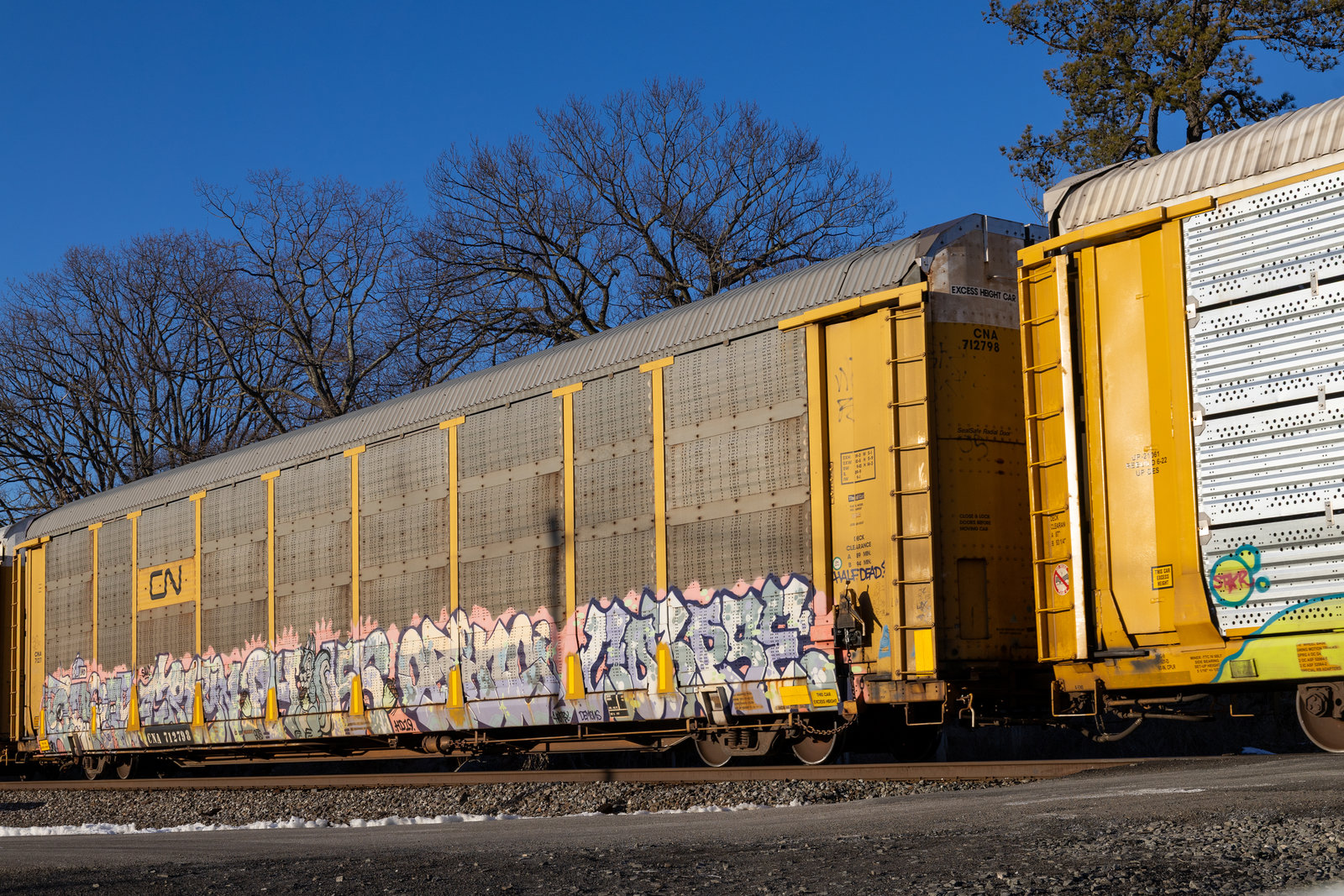 CNA 712798