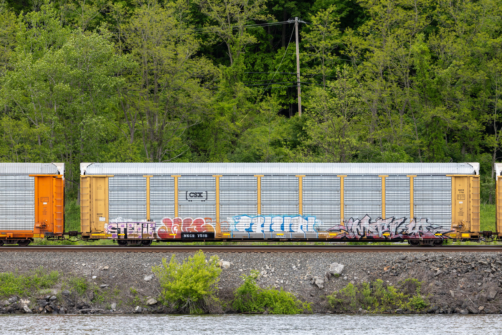 NKCR 7516